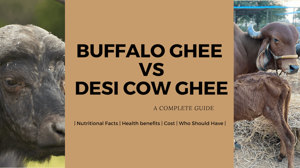Desi A2 Cow Ghee vs Buffalo Ghee. Which is healthier for you? HOUS OF LIFE